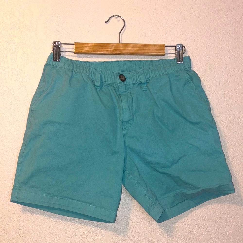 Chubbies light teal green size small
